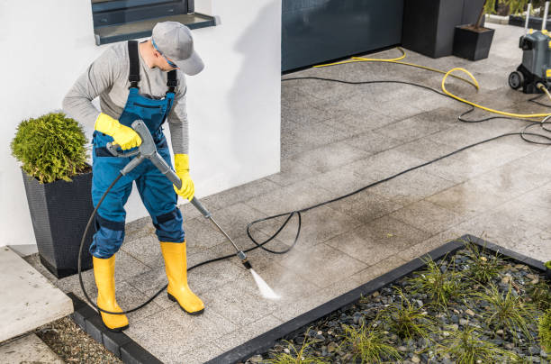 Best Local Pressure Washing Services  in Port Orchard, WA